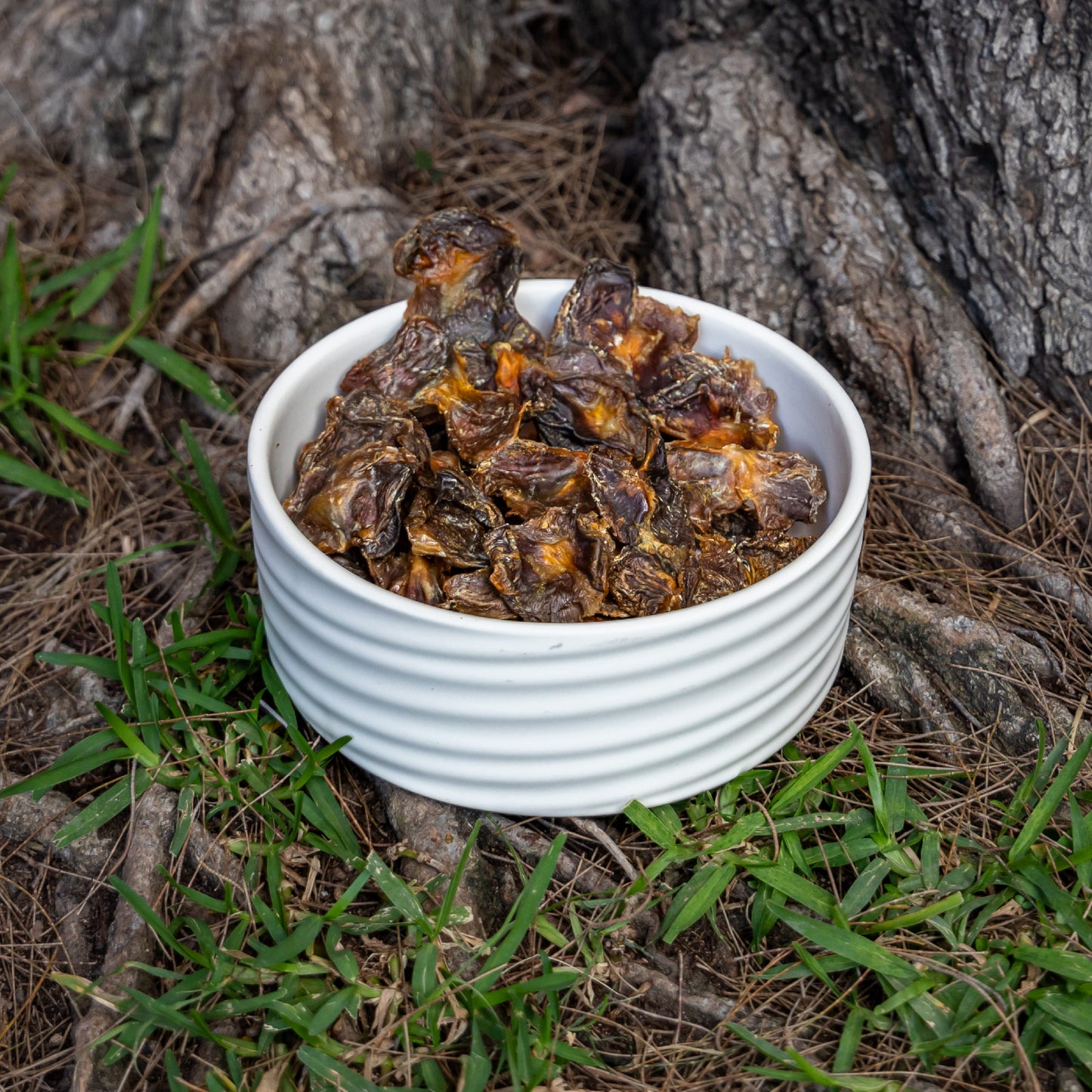 Mollejas de Pollo-Chuches para perros