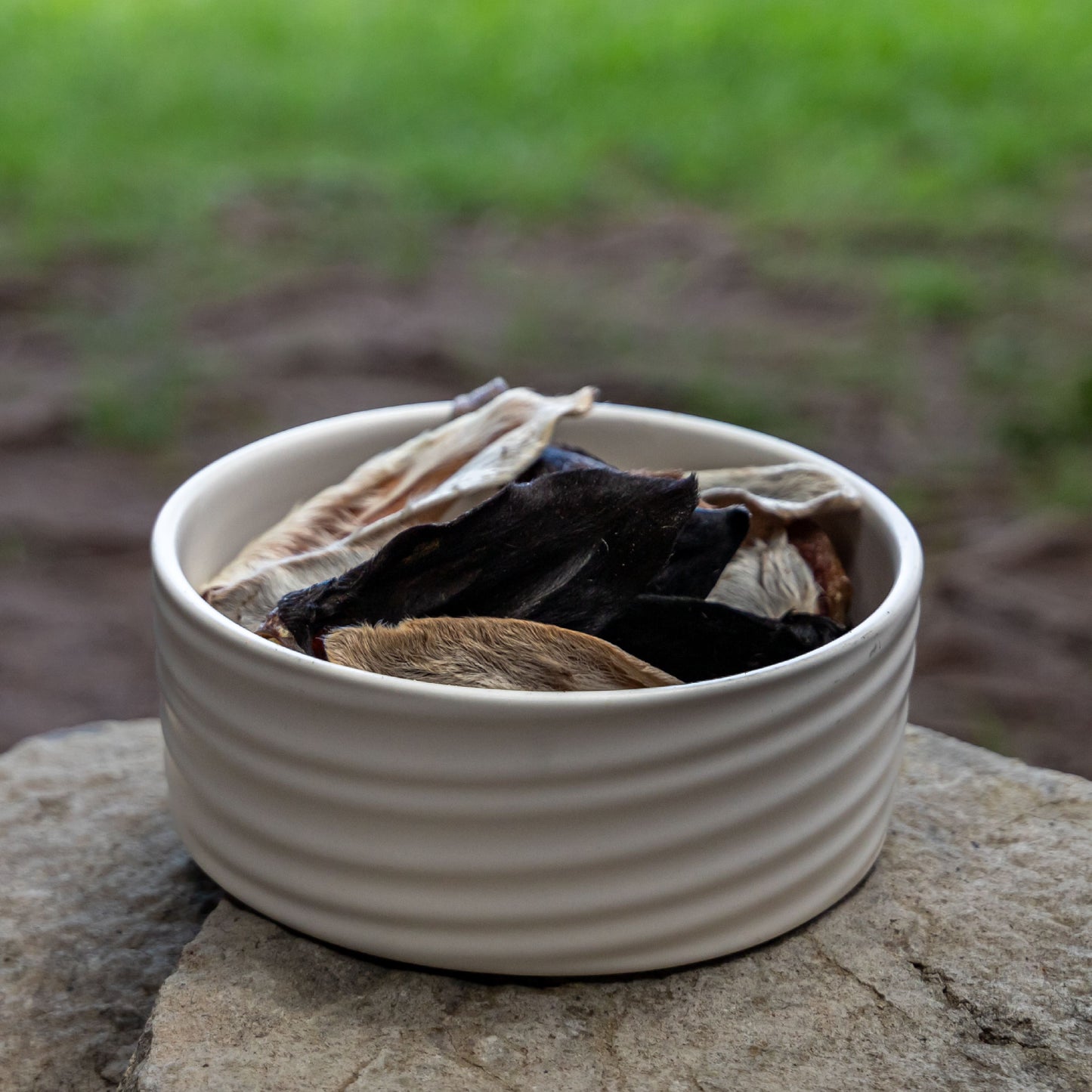 Oreja de Cordero-Chuches para perros