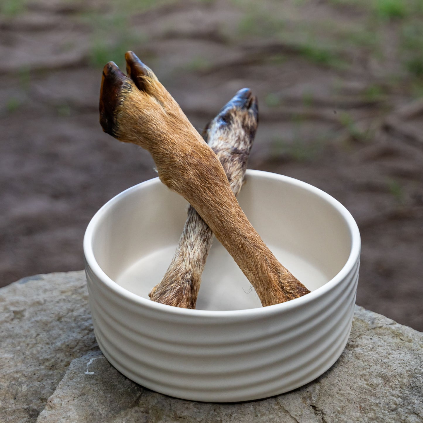 Pata de Cordero-Chuches para perros