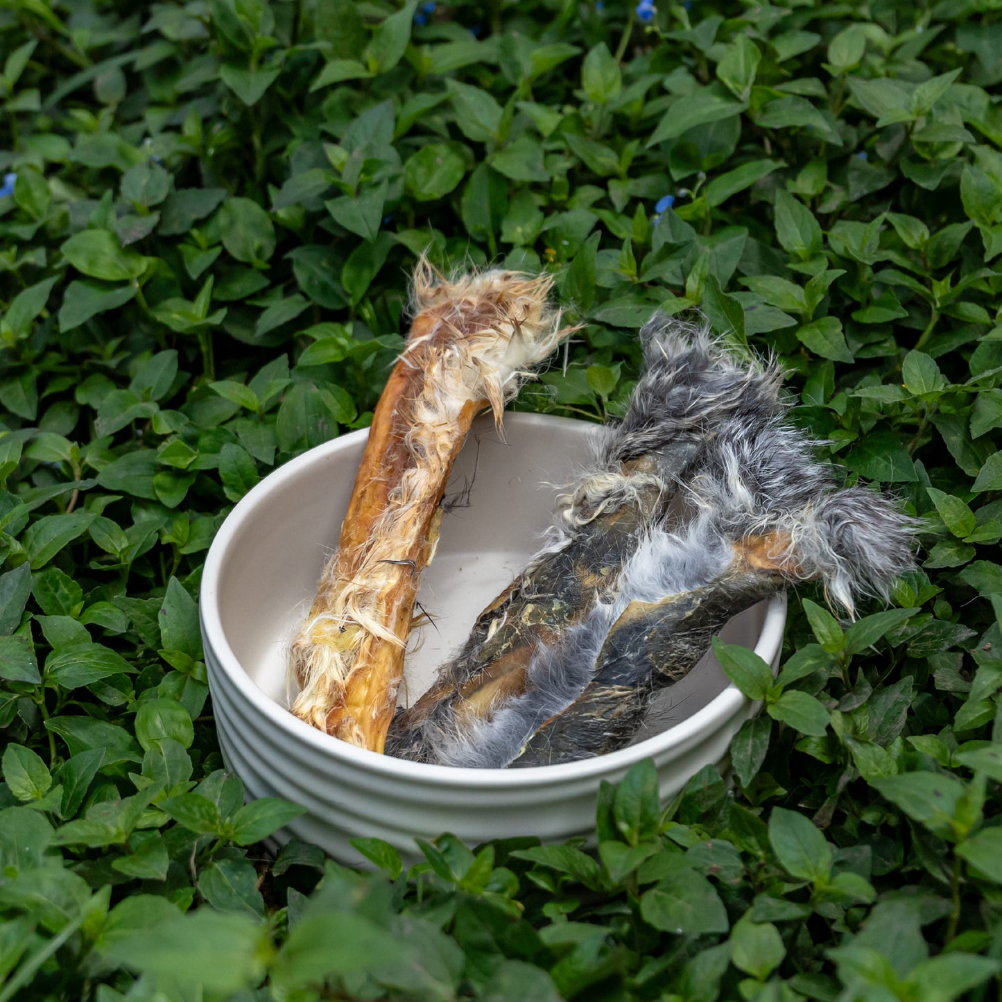 Skin Roll de Conejo-Chuches para perros