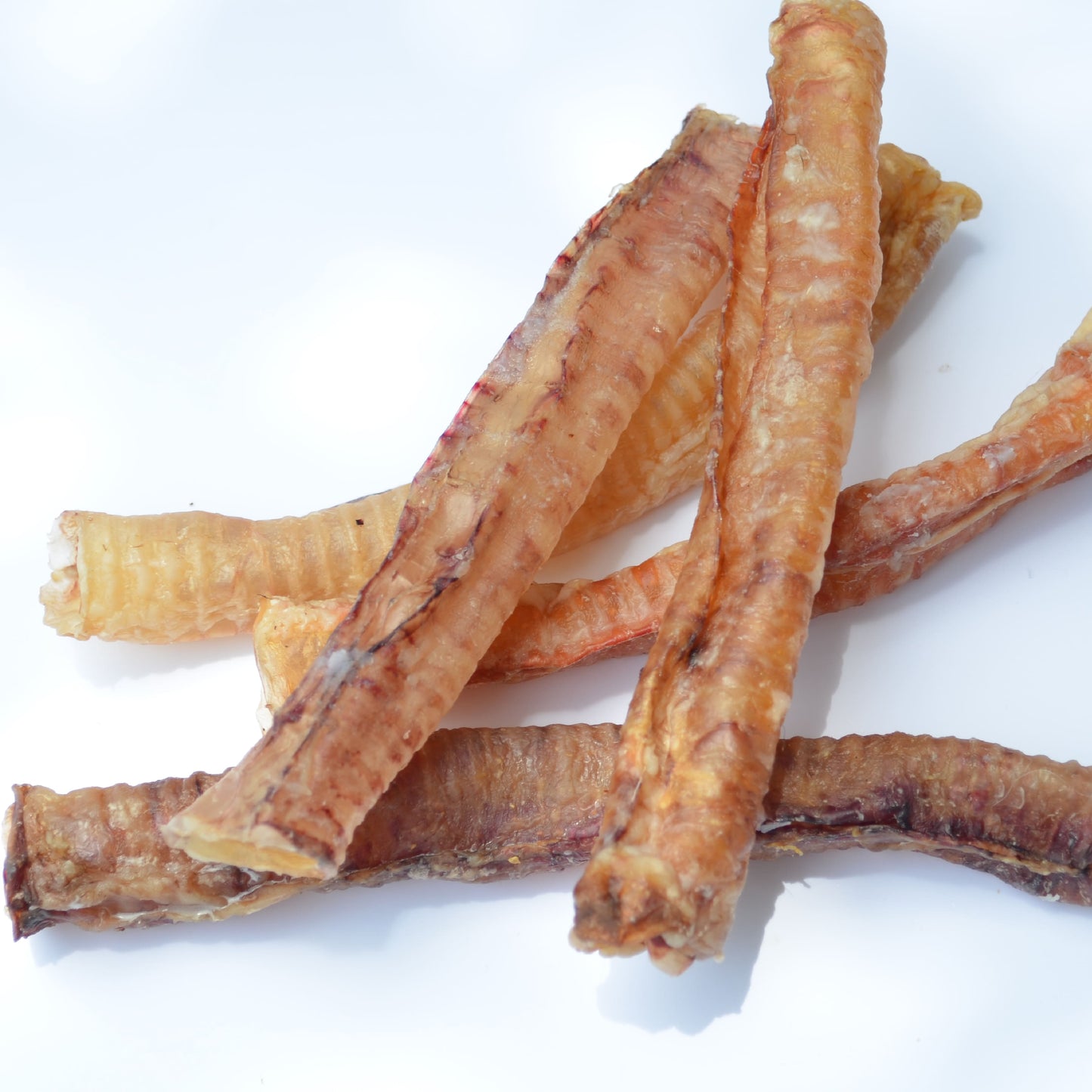Tráquea de Cordero-Chuches para perros