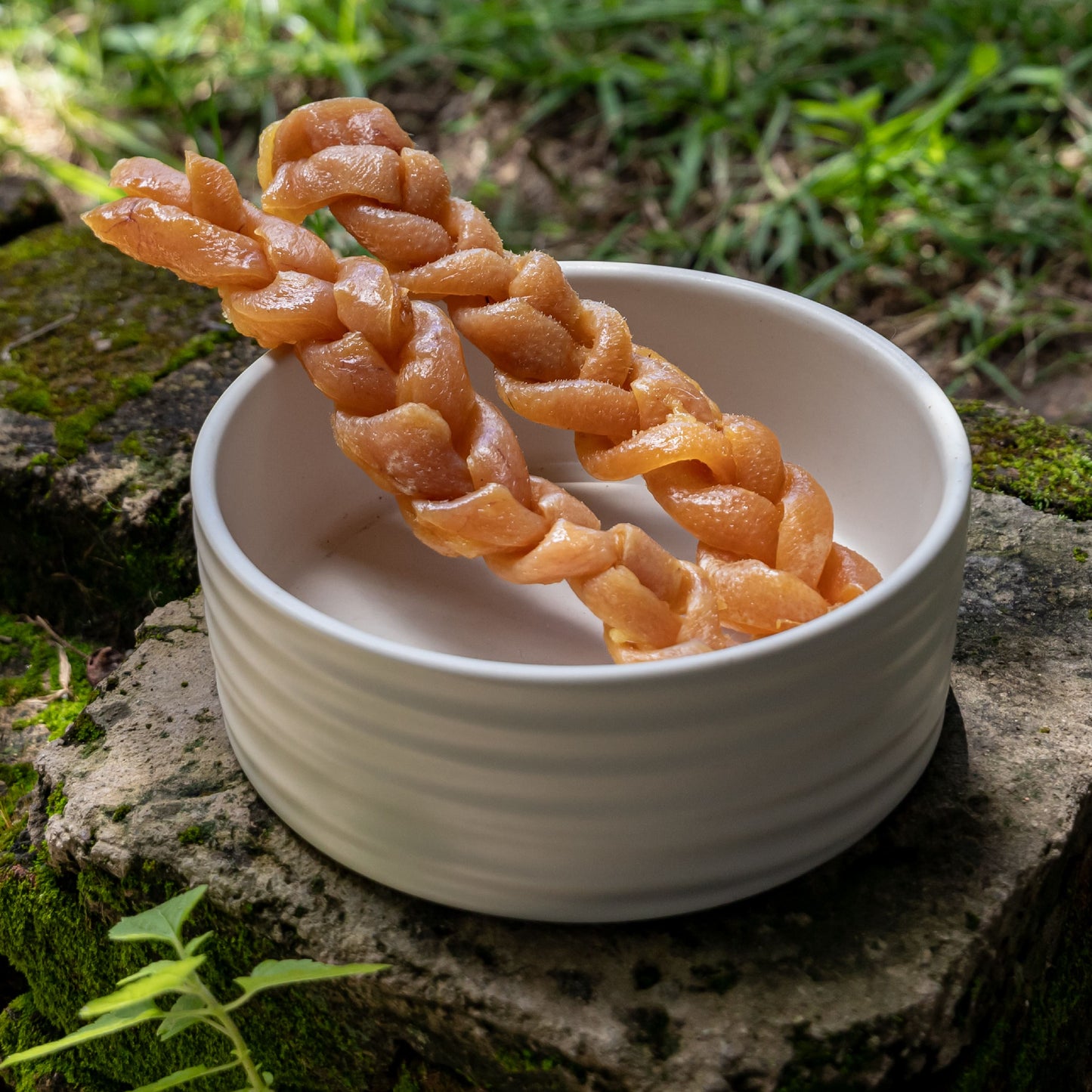 Trenza de Piel de Cerdo - Chuches para perros