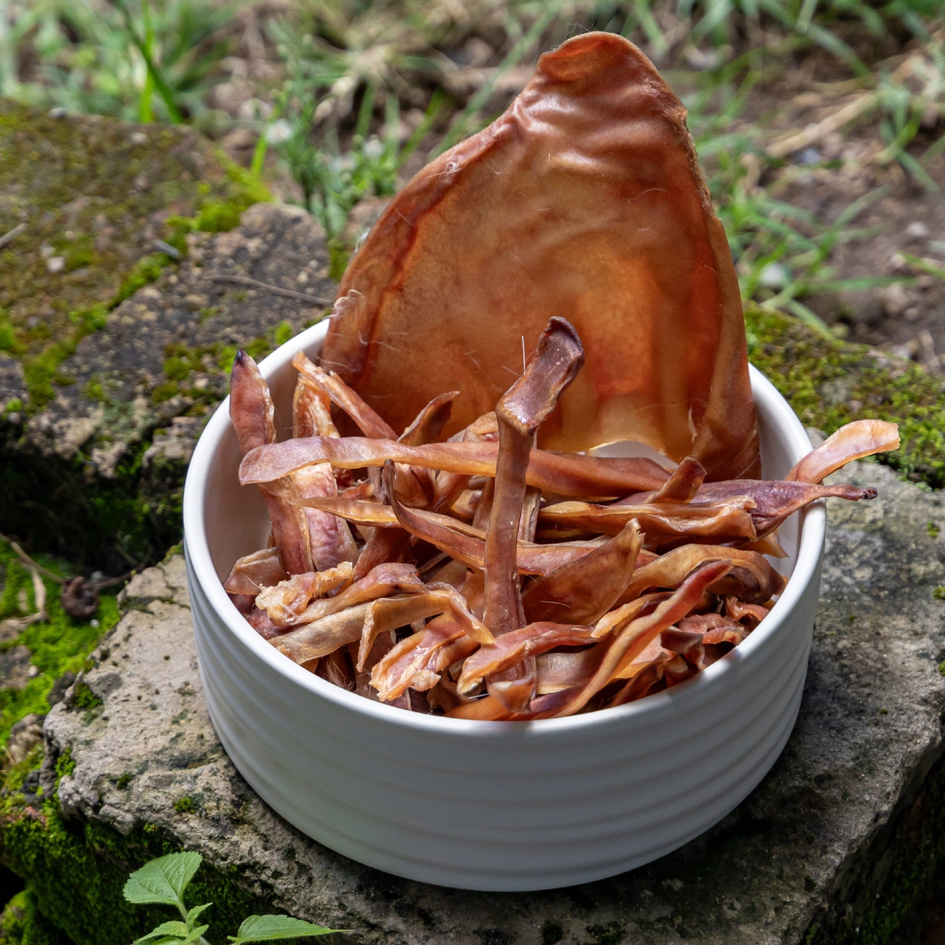 Cerdo - Oreja strips (100g)