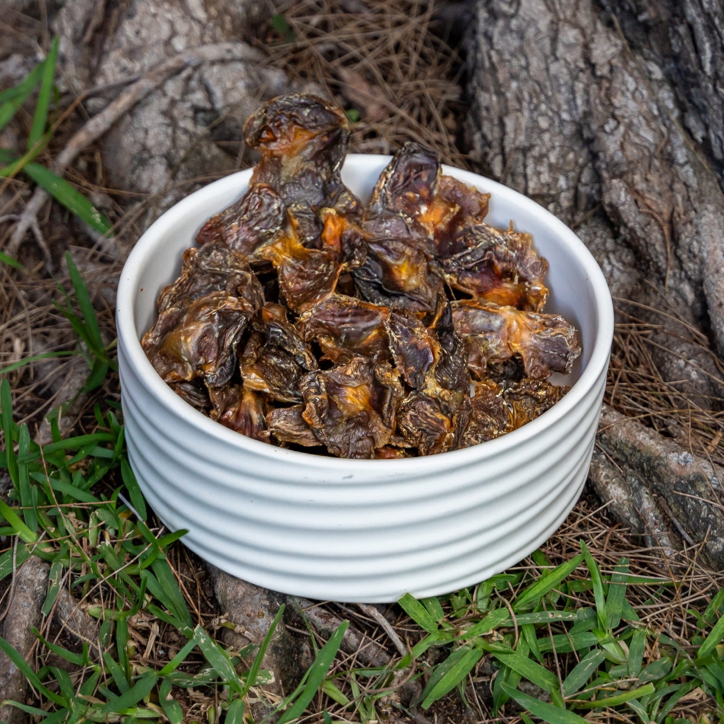 Pollo - Mollejas (100g)