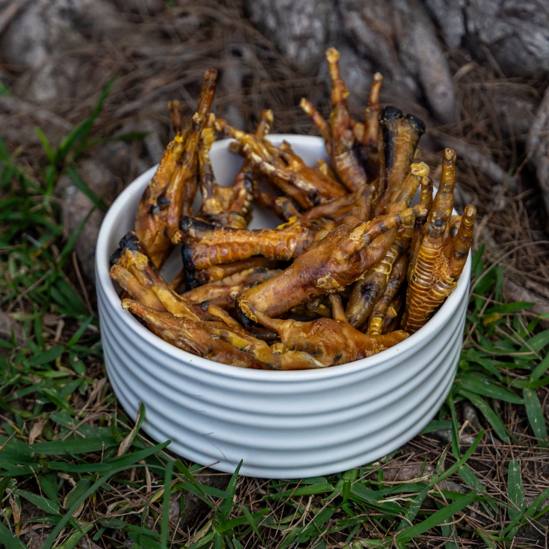 Pollo - Patas (24 piezas)